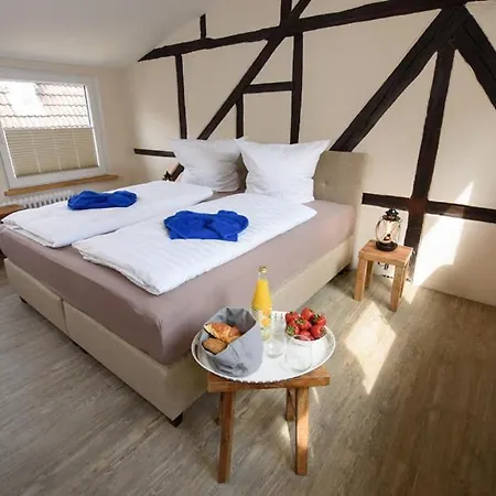Strandlaeufer * Eckernförde
